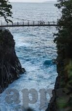 日韩精品无码av人妻-探索日韩影视文化中的家庭情感与艺术表达